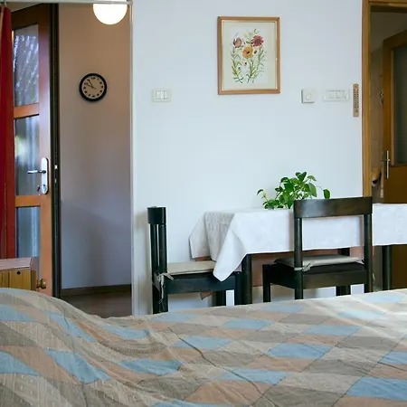 Irena Apartment *