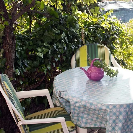 Apartment Irena *